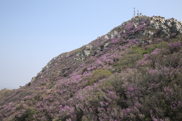 4001百老汇会员登入-百老汇官方网站