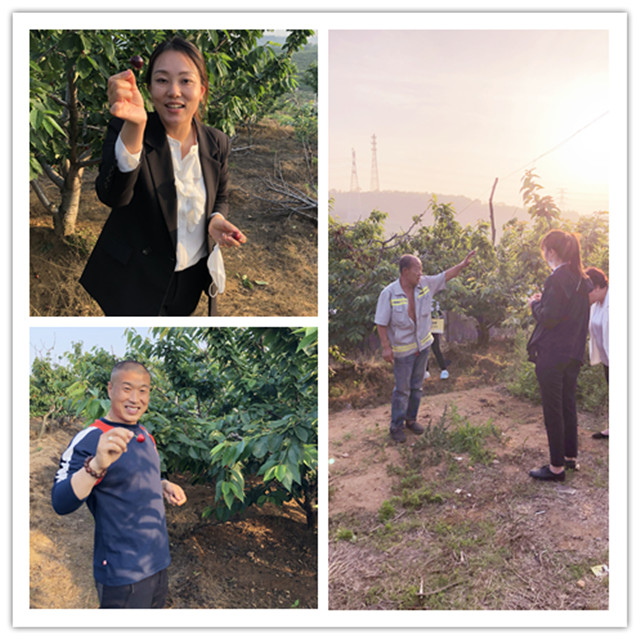 4001百老汇会员登入-百老汇官方网站